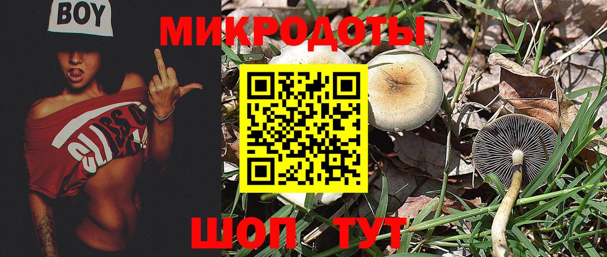 Псилоцибиновые грибы Psilocybine cubensis  Вход с VPN  сколько стоит  Белгород 