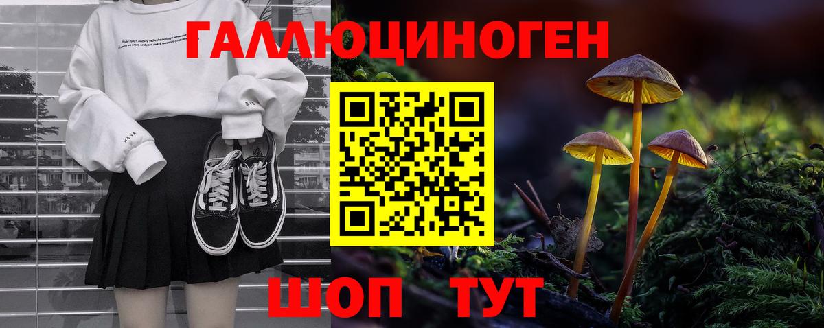 Псилоцибиновые грибы мицелий Белгород